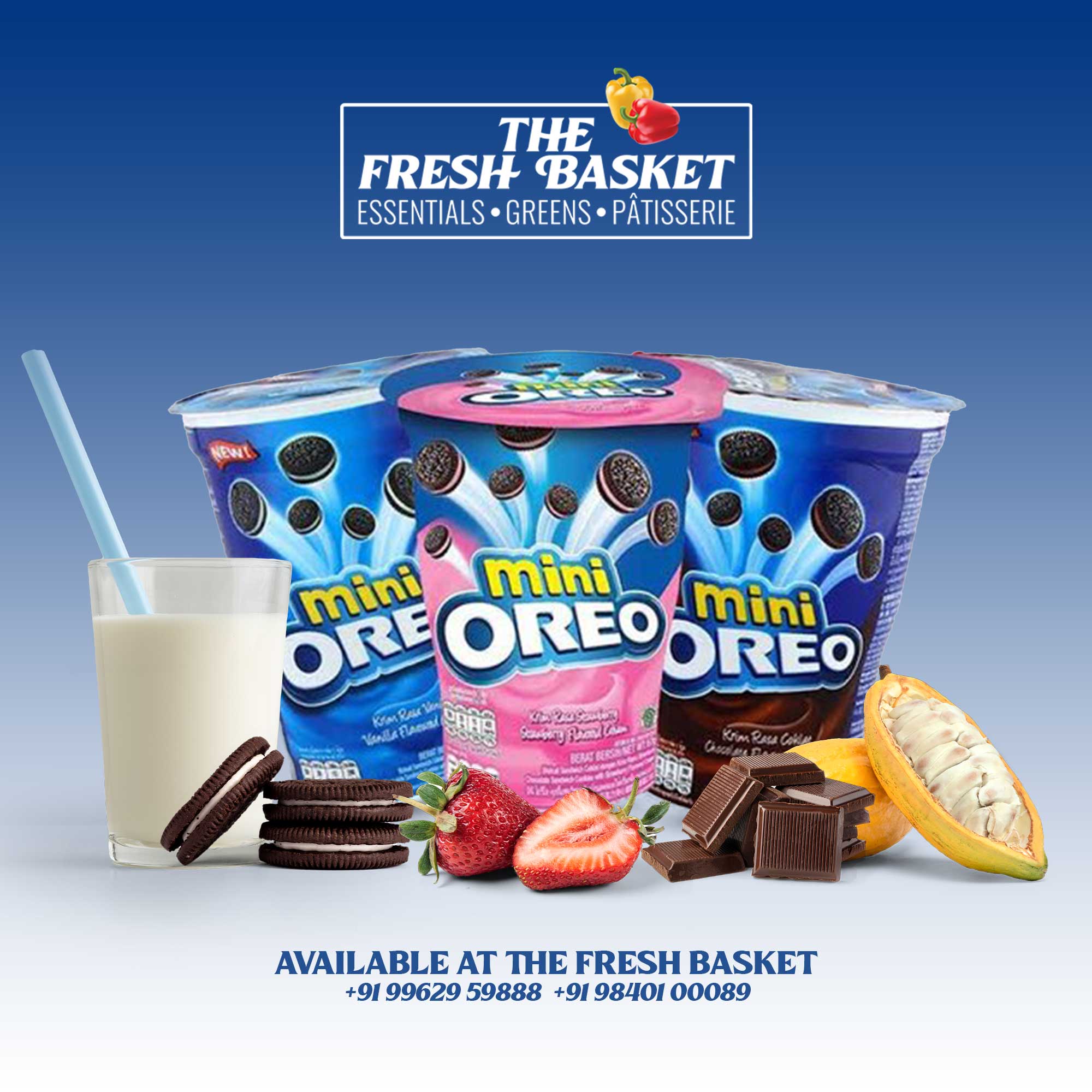 Portfolio Project 16